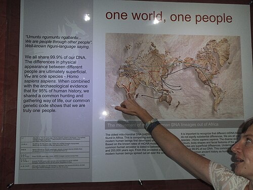 Origins Centre