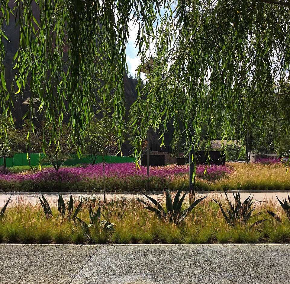 A photograph of La Mexicana Park