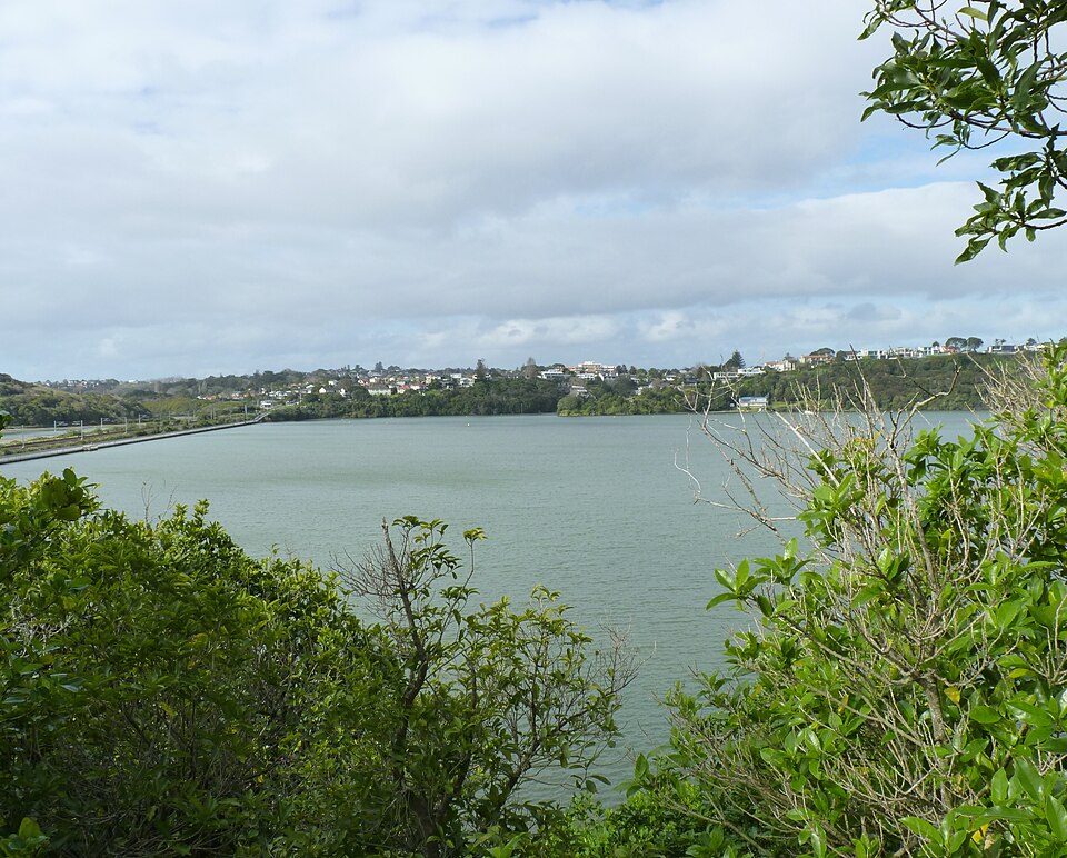 Ōrākei Basin