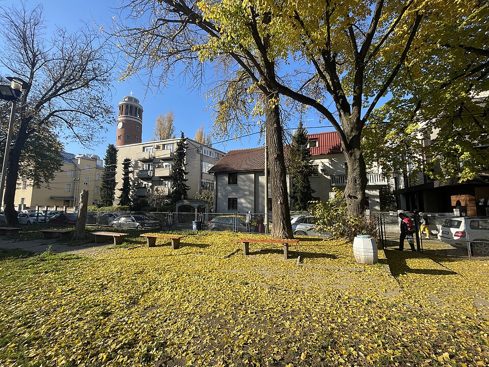 A photograph of Belgrade Garden