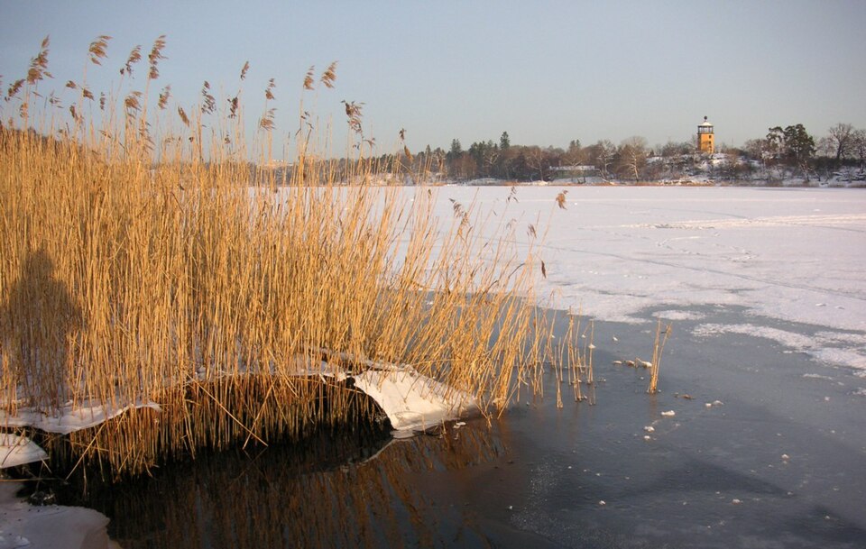 A photograph of Haga park