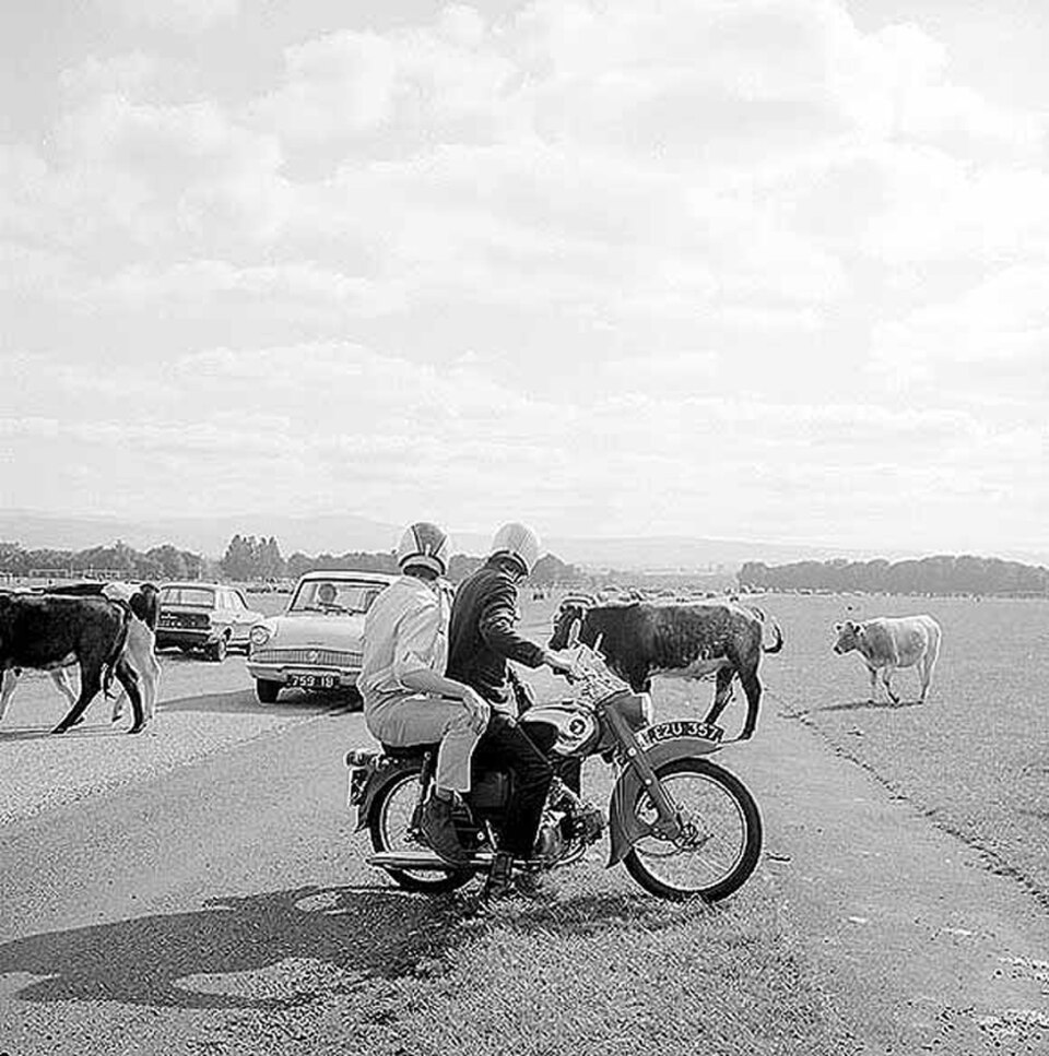 A photograph of Phoenix Park