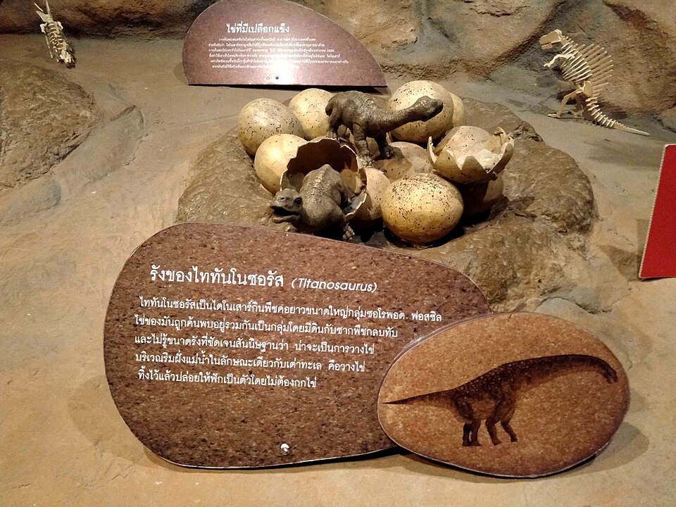 A photograph of Children's Discovery Museum