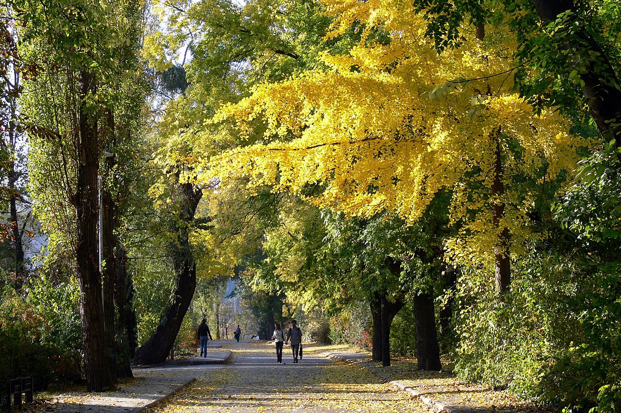 Ein Foto von Margaret Island