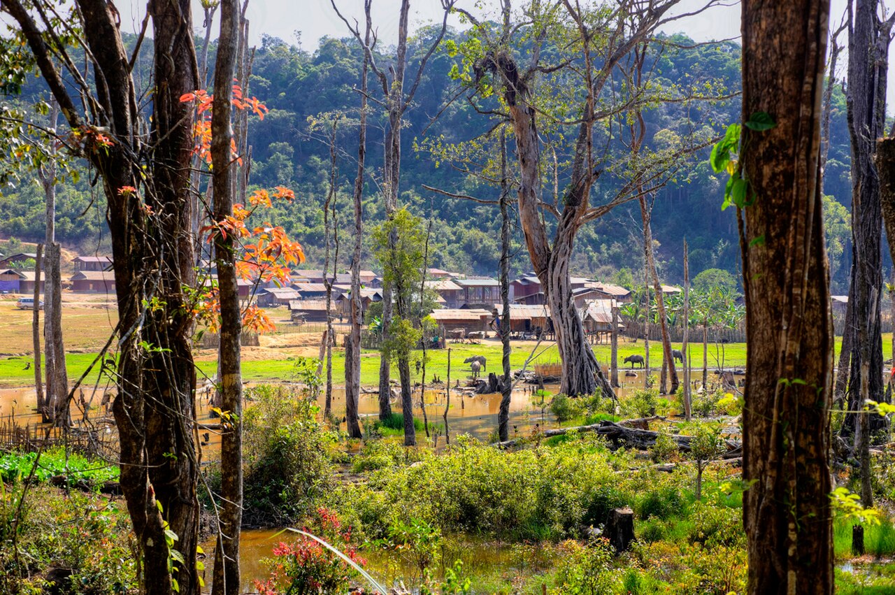 Nong Fa Lake fotoğrafı