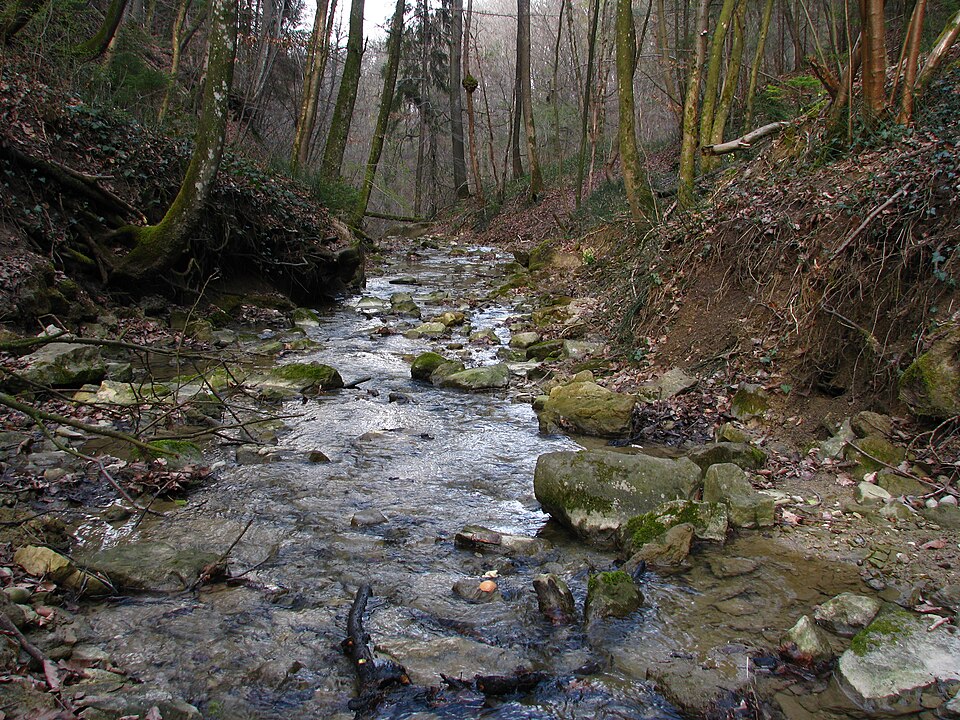 A photograph of Sagentobelbach