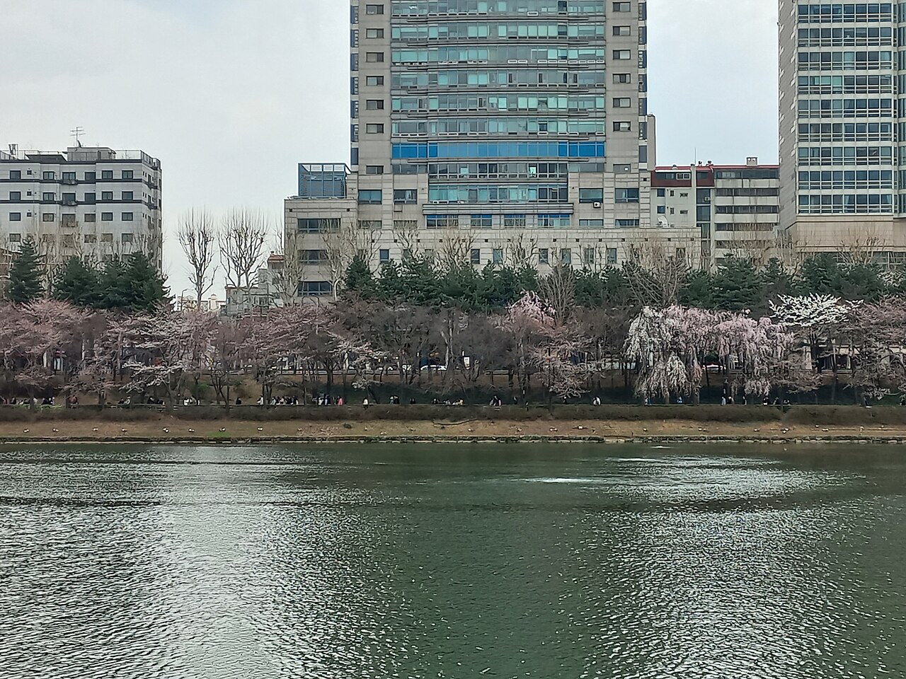 Seokchon Lake Park fotoğrafı