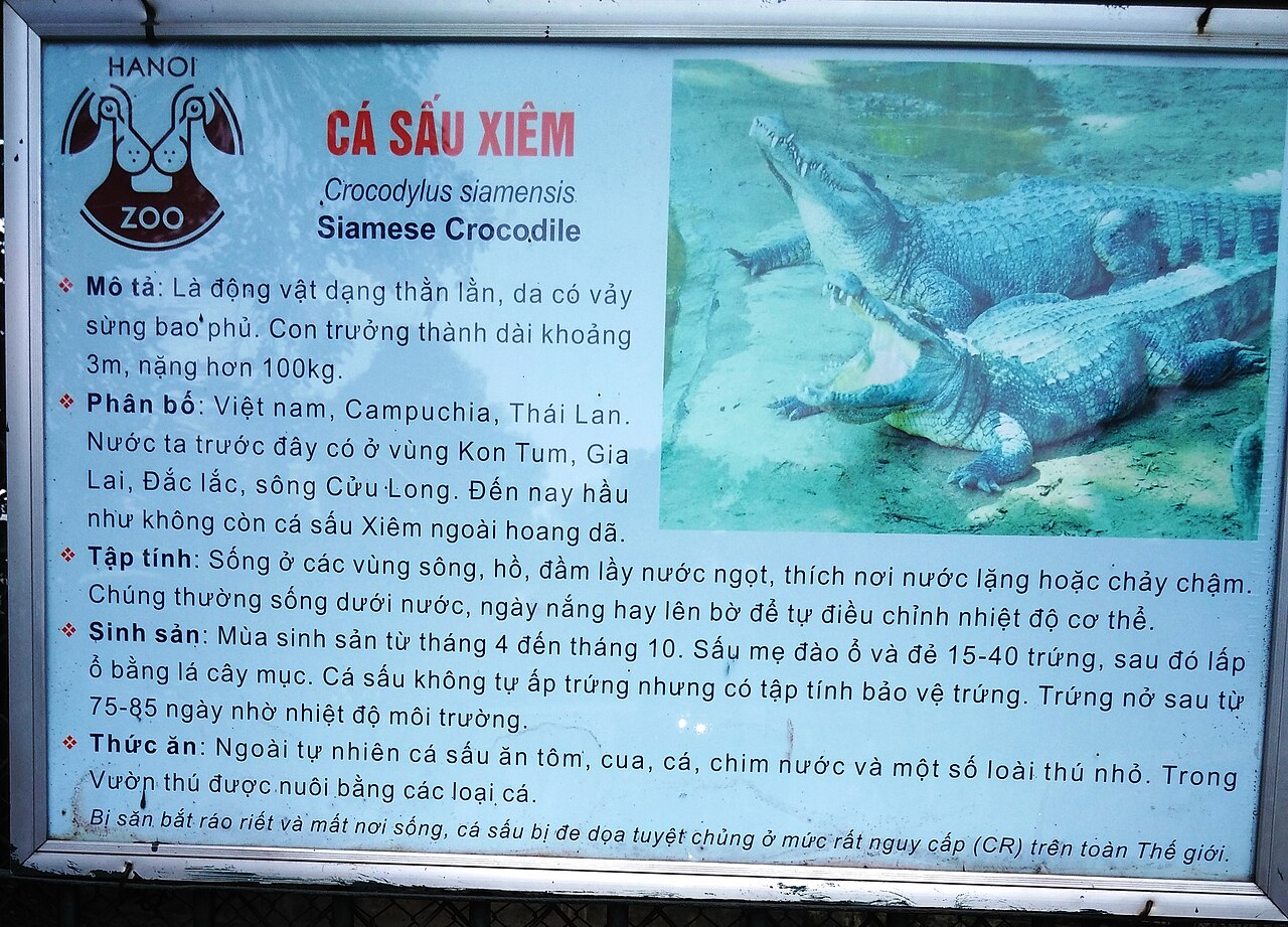 صورة Thủ Lệ Park