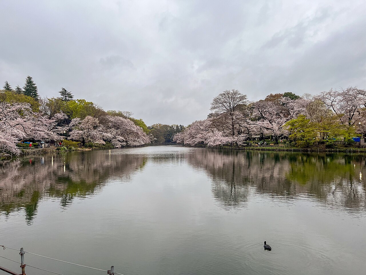 Inokashira Park