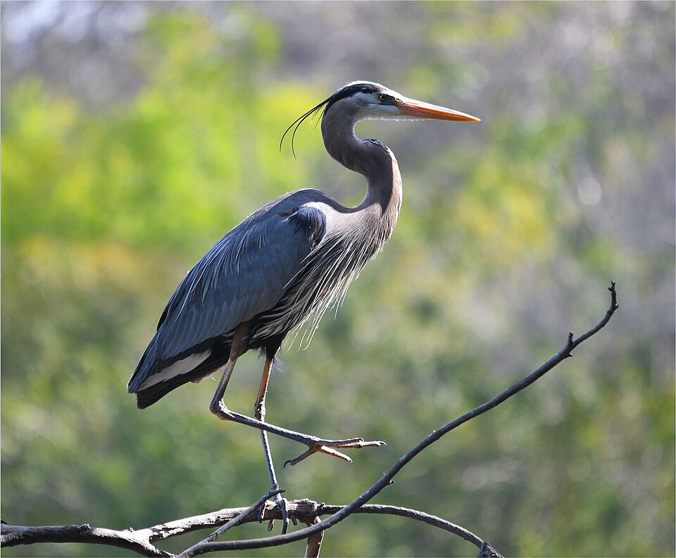 A photograph of El Dorado Park