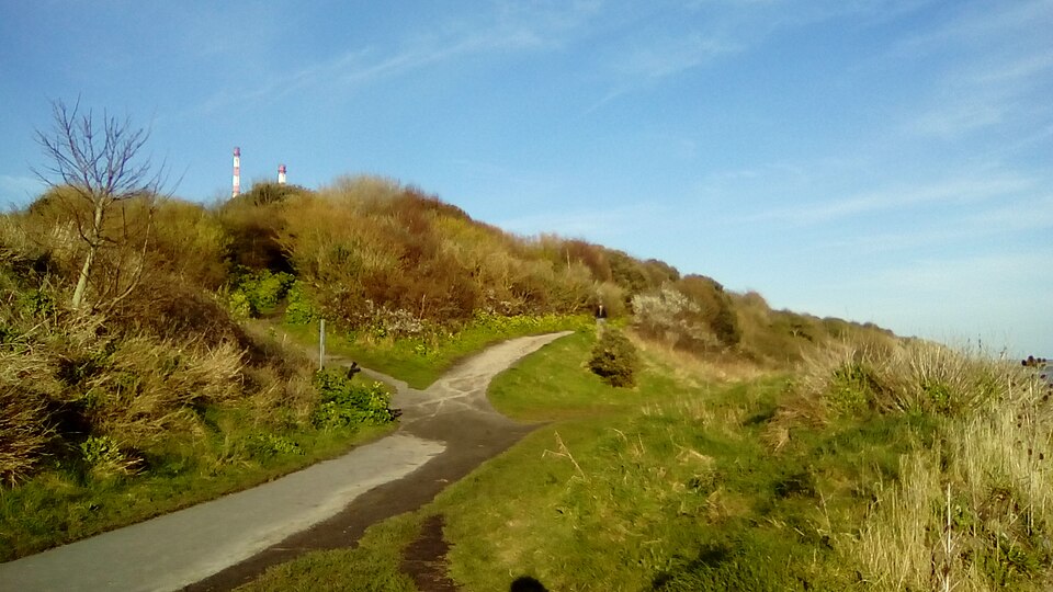 A photograph of Irishtown Nature Park