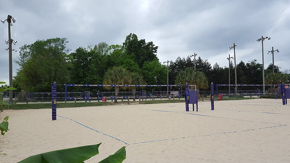 A photograph of Mango's