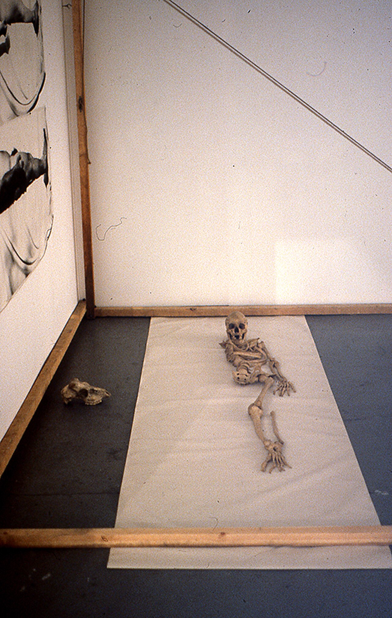 Hayward Gallery の写真