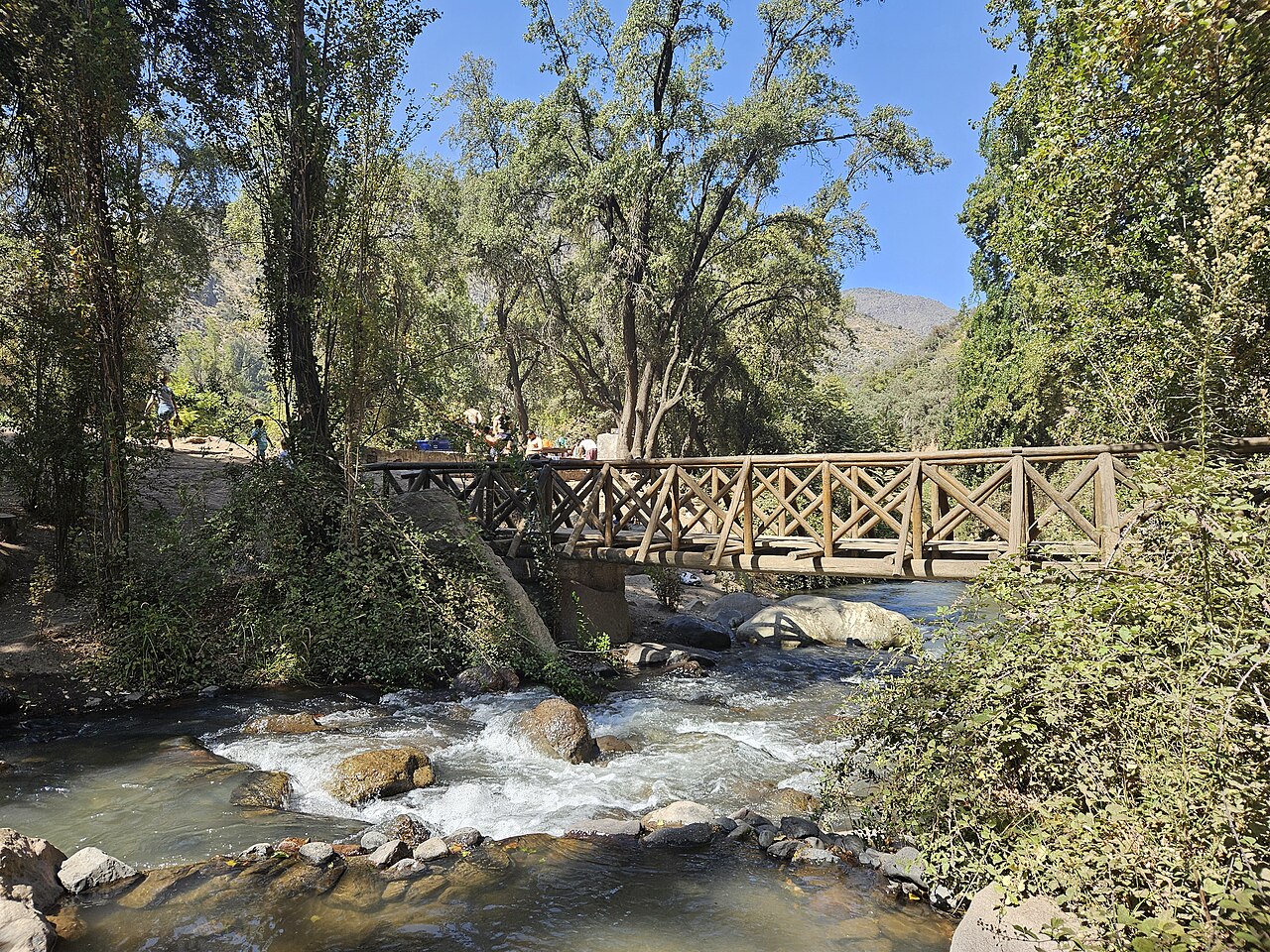 A photograph of Santuario de la Naturaleza El Arrayán