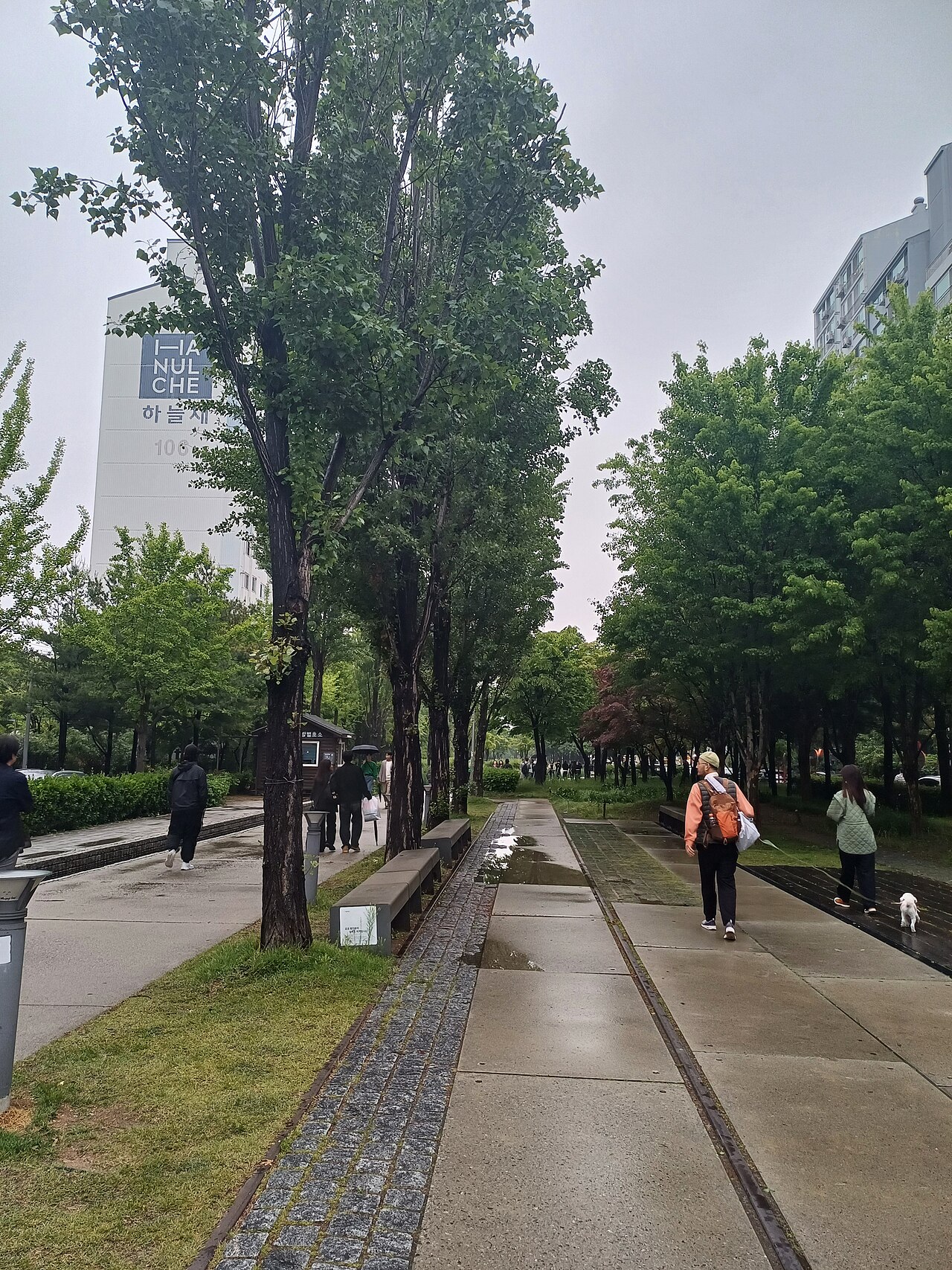 صورة Gyeongui Line Forest Park