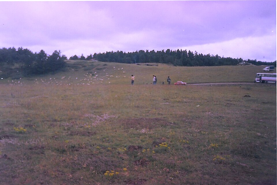 A photograph of Gölet