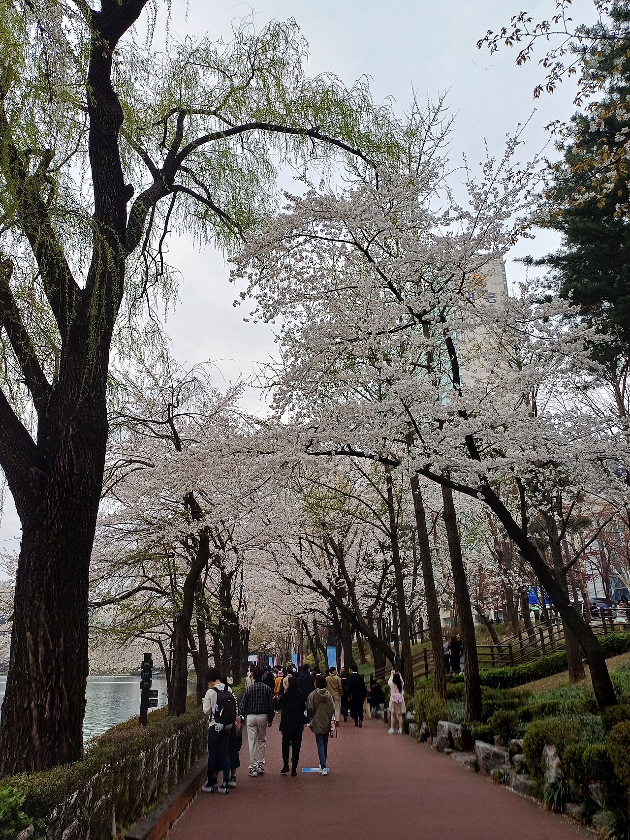 Seokchon Lake Park fotoğrafı