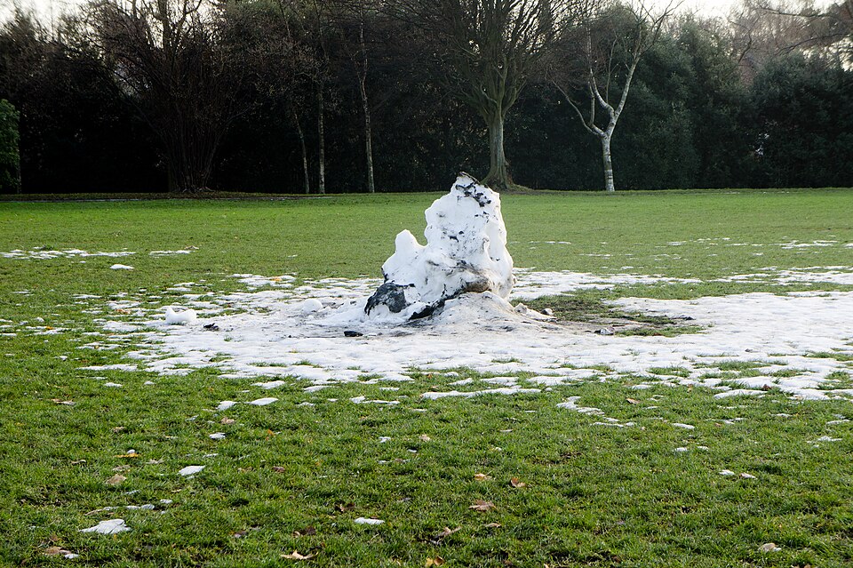A photograph of Herbert Park