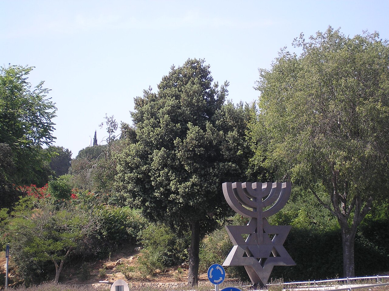 A photograph of Wohl Rose Park