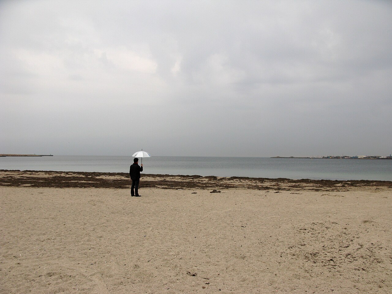 Svanemølle Beach fotoğrafı