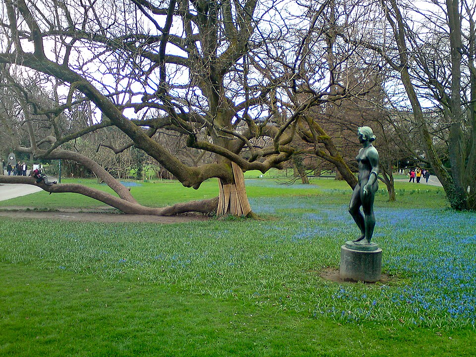 A photograph of Arboretum Zürich