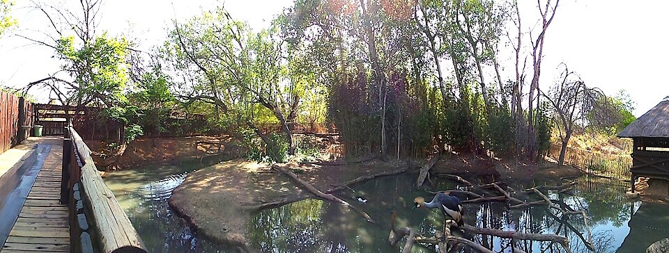 A photograph of Austin Reserve