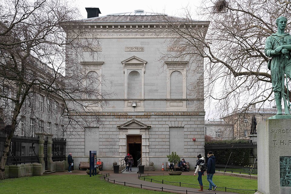 A photograph of National Museum of Ireland, Merrion Street