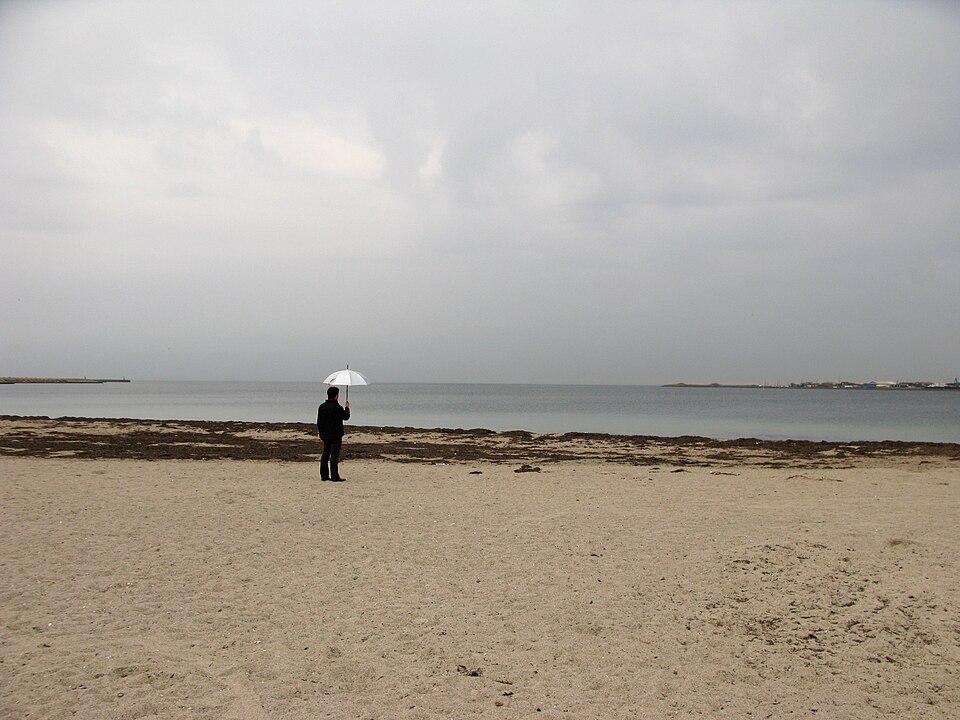 A photograph of Svanemølle Beach