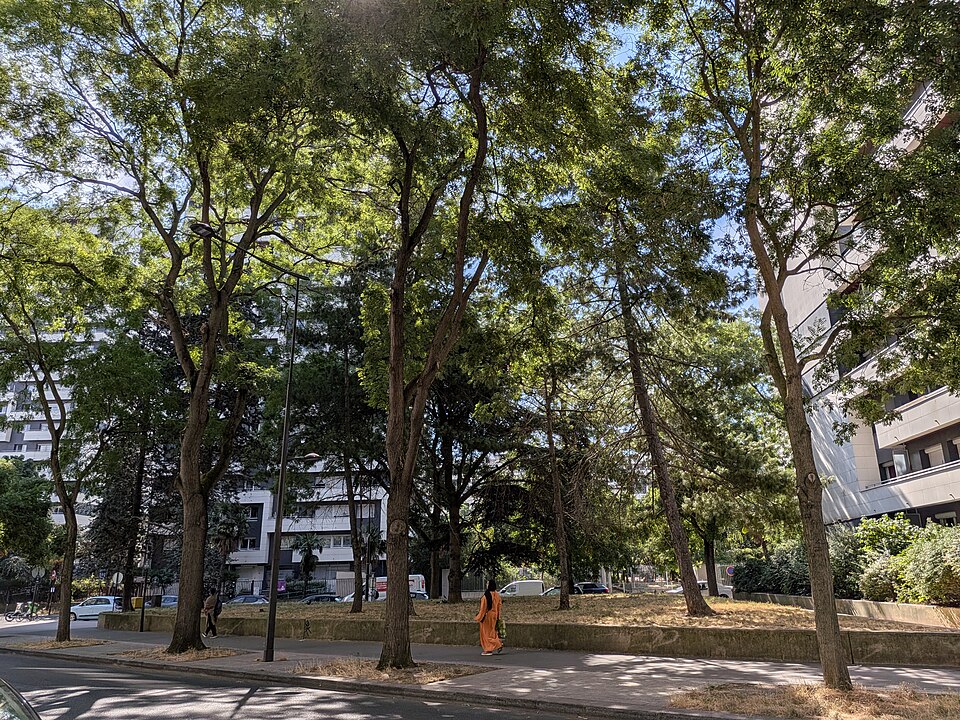 A photograph of square Curial