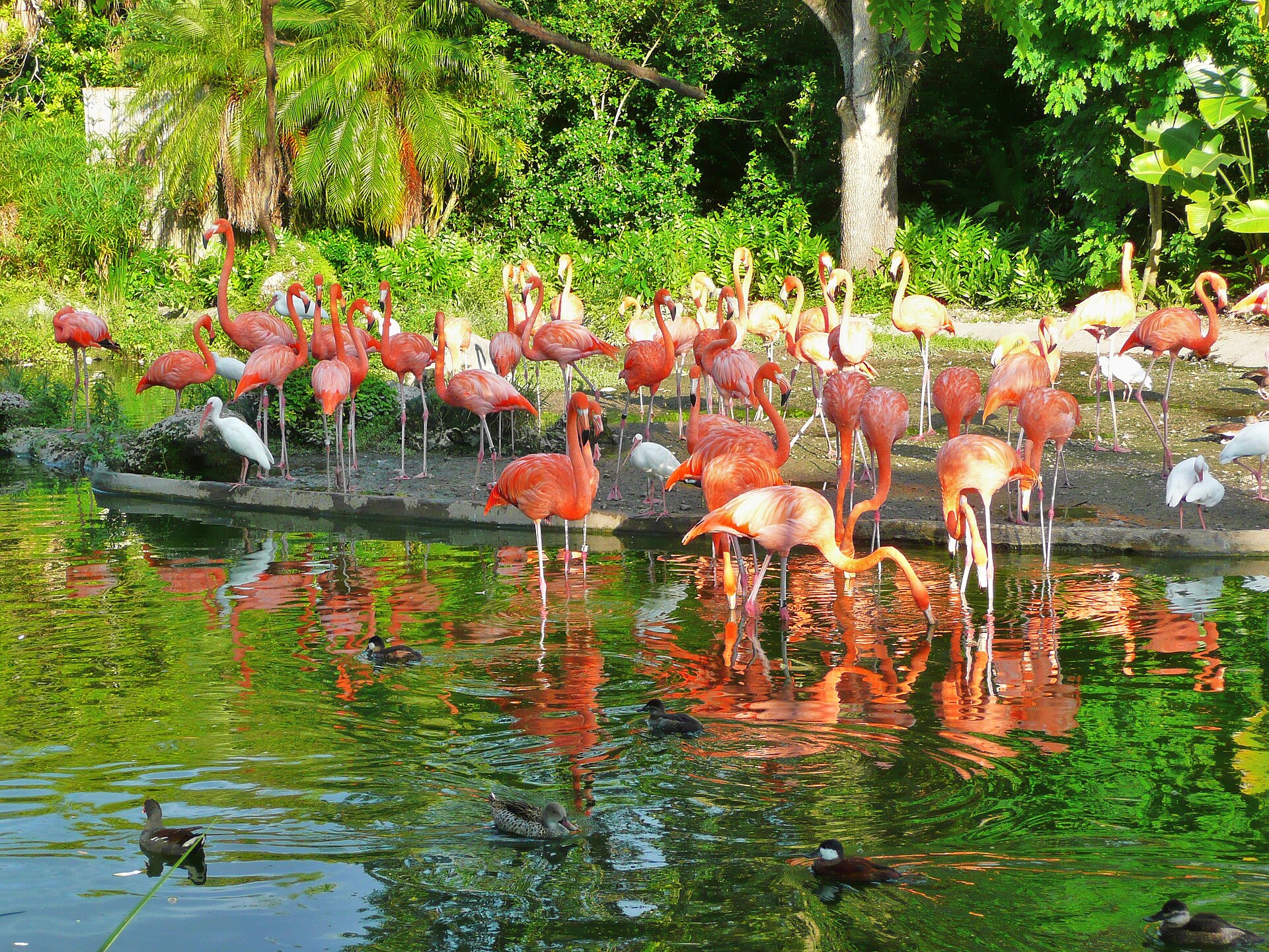 Zoo Miami의 사진