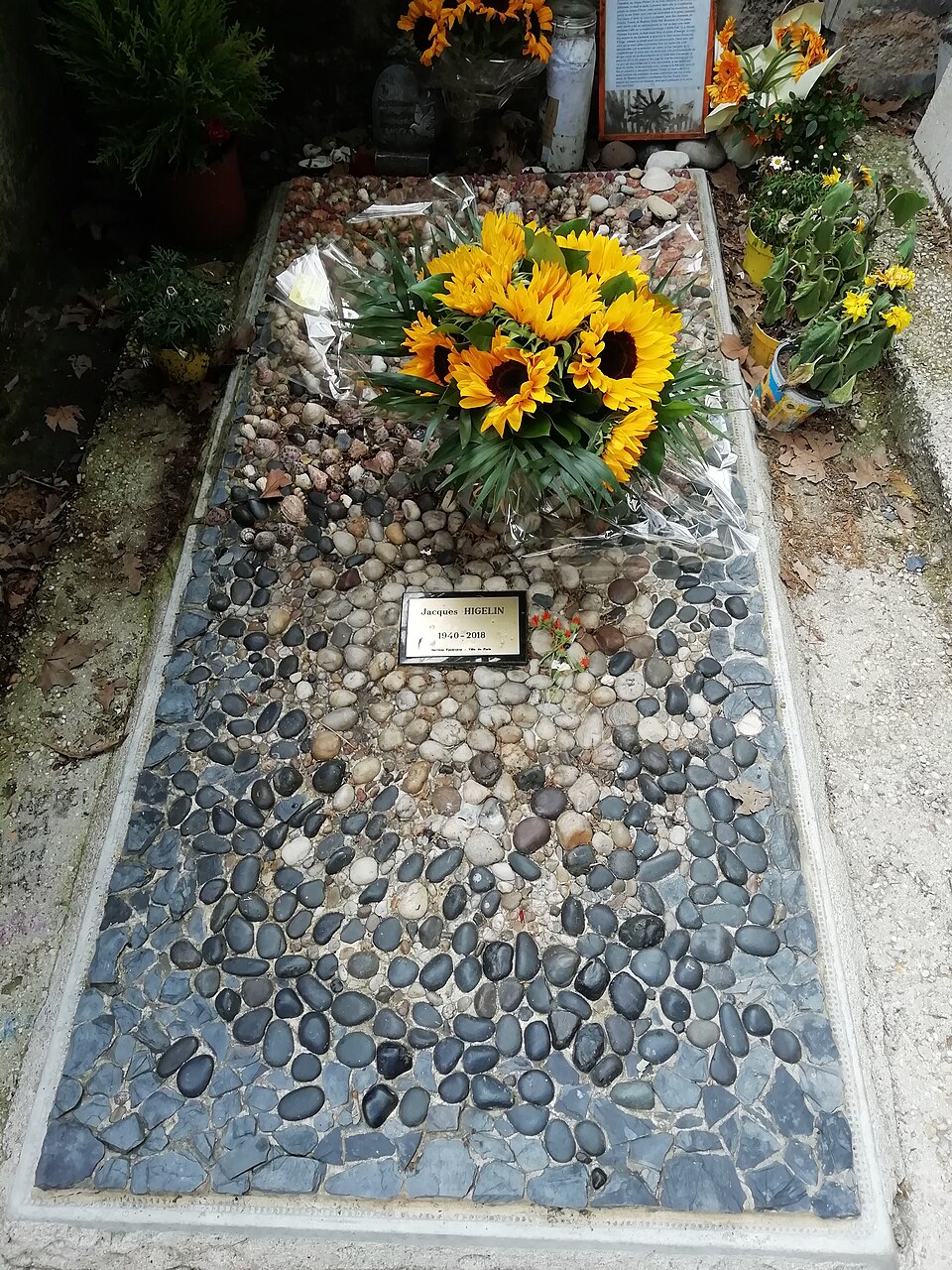 A photograph of Grave of Higelin