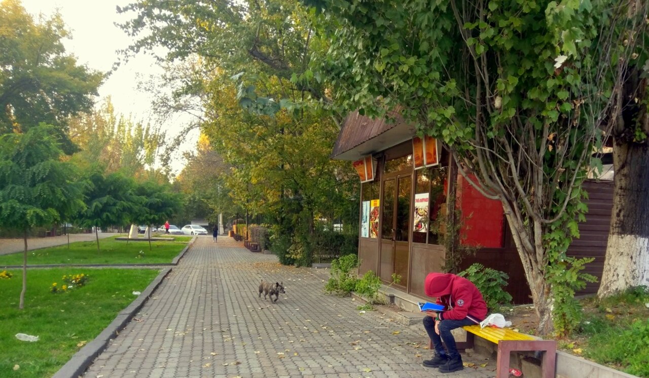 A photograph of Circular Park