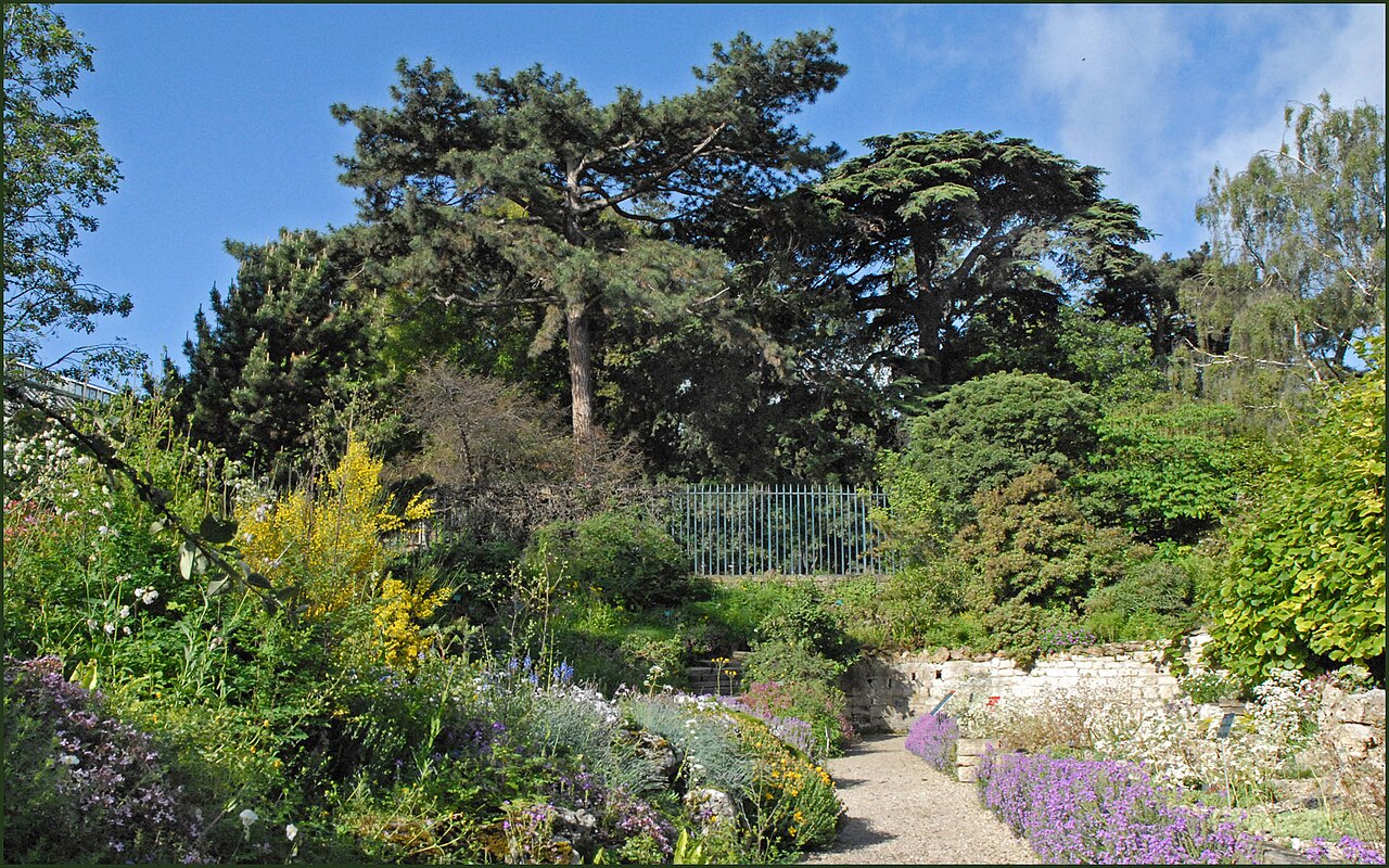 Jardin Alpin
