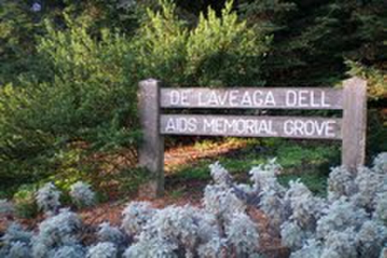 AIDS Memorial Grove의 사진