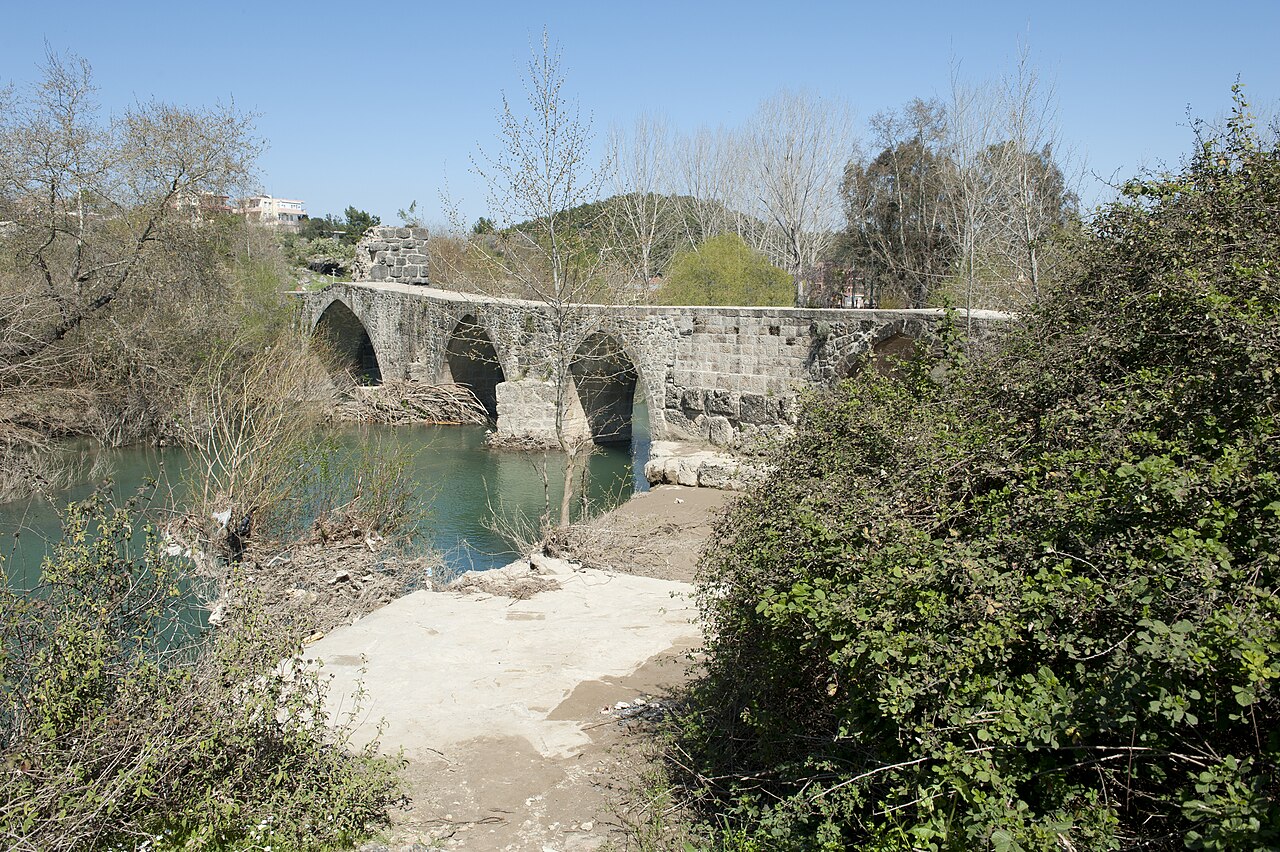 صورة Naras Bridge