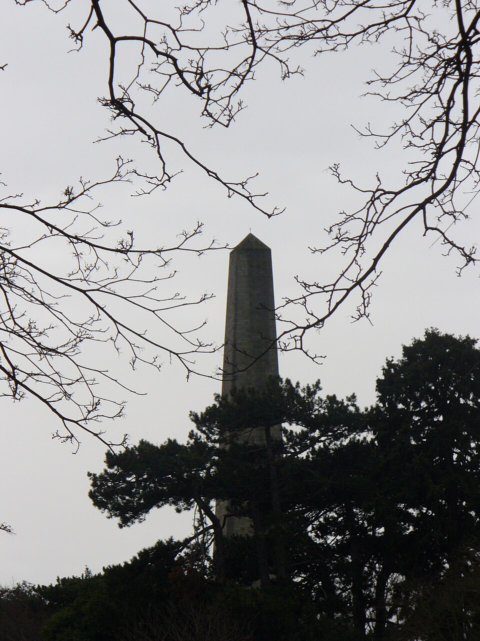 A photograph of Wellington Monument