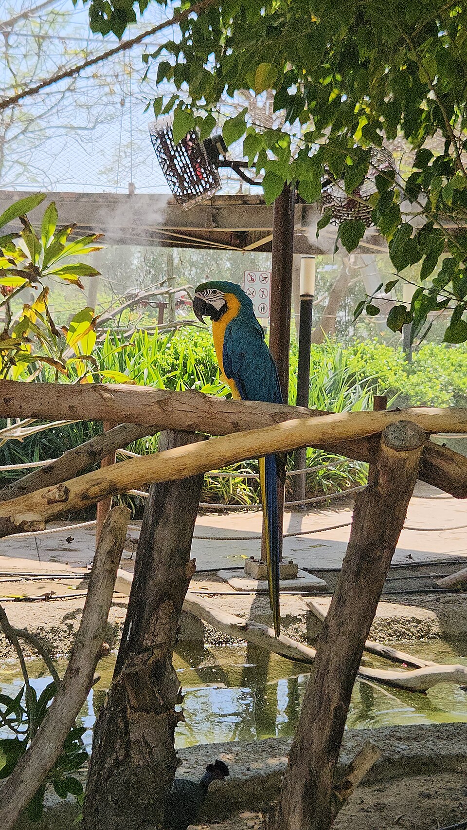 A photograph of Dubai Safari Park