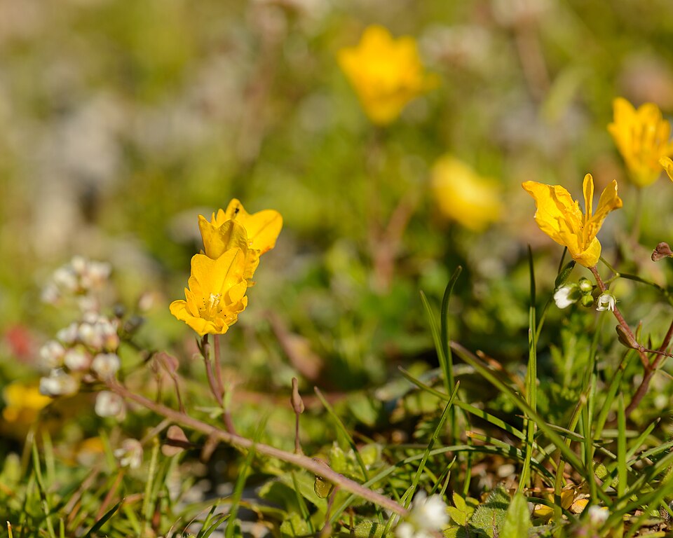 A photograph of Mount Spil National Park