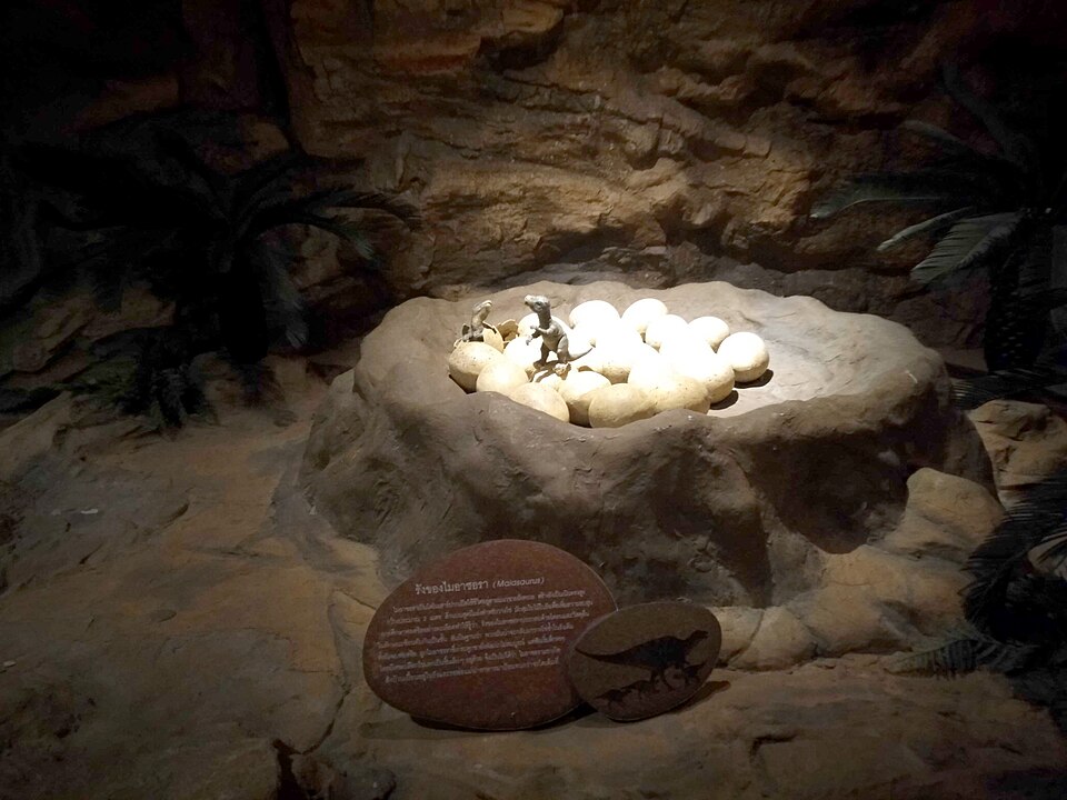 A photograph of Children's Discovery Museum