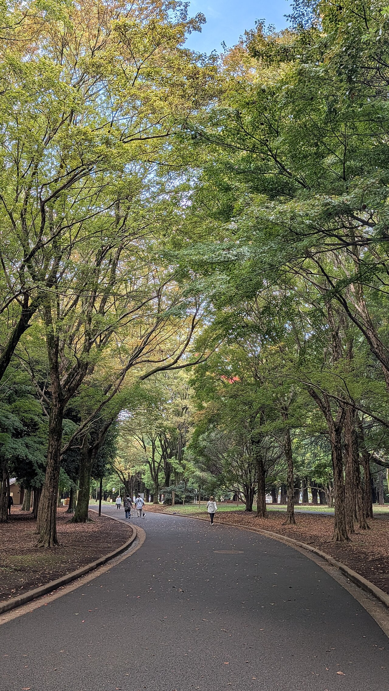 Una fotografia di Yoyogi Park