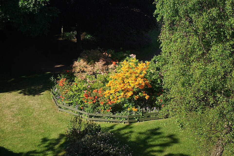A photograph of Dean Gardens