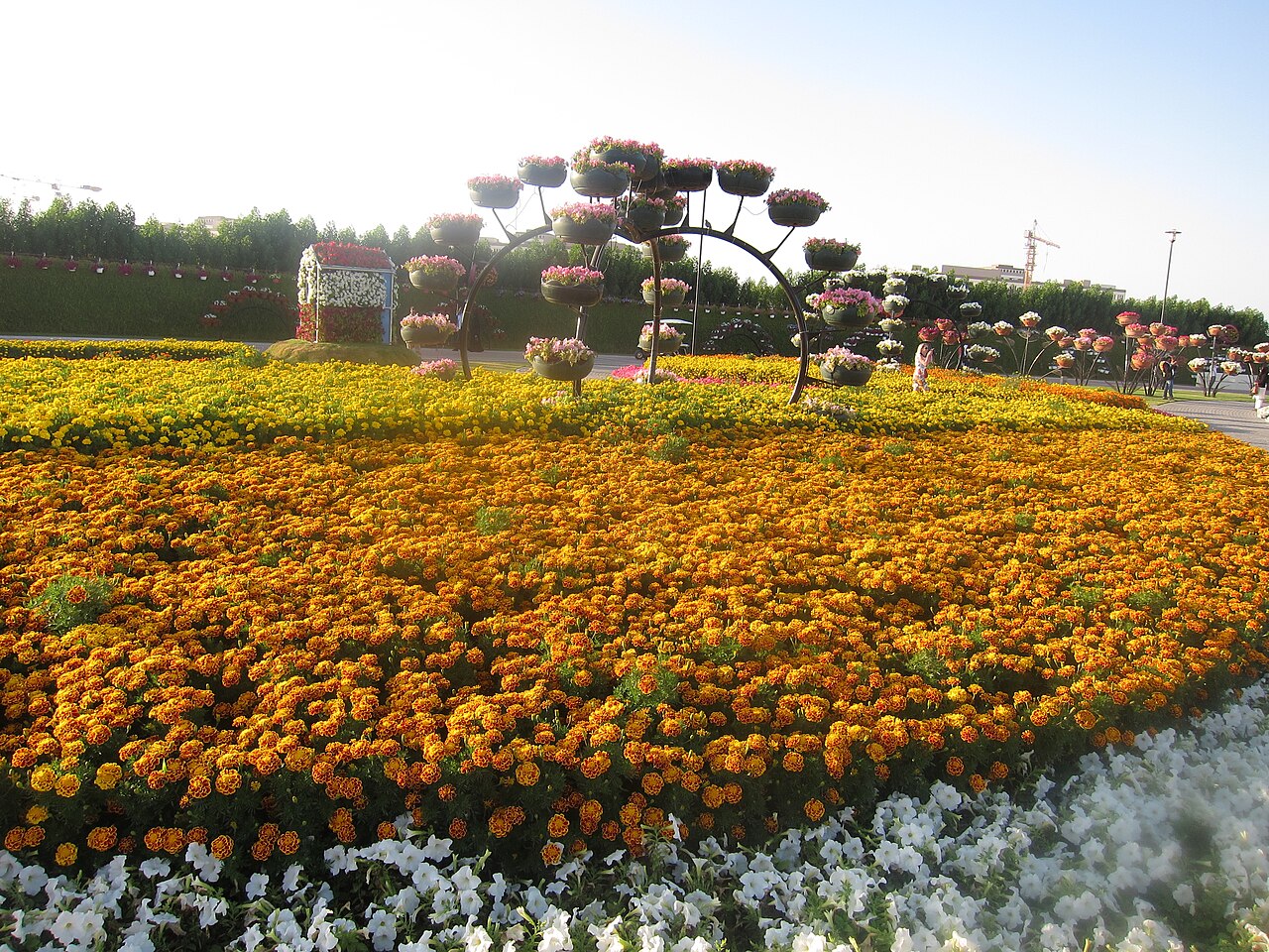 Dubai Miracle Garden의 사진