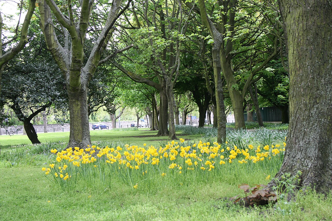 Fairview Park fotoğrafı