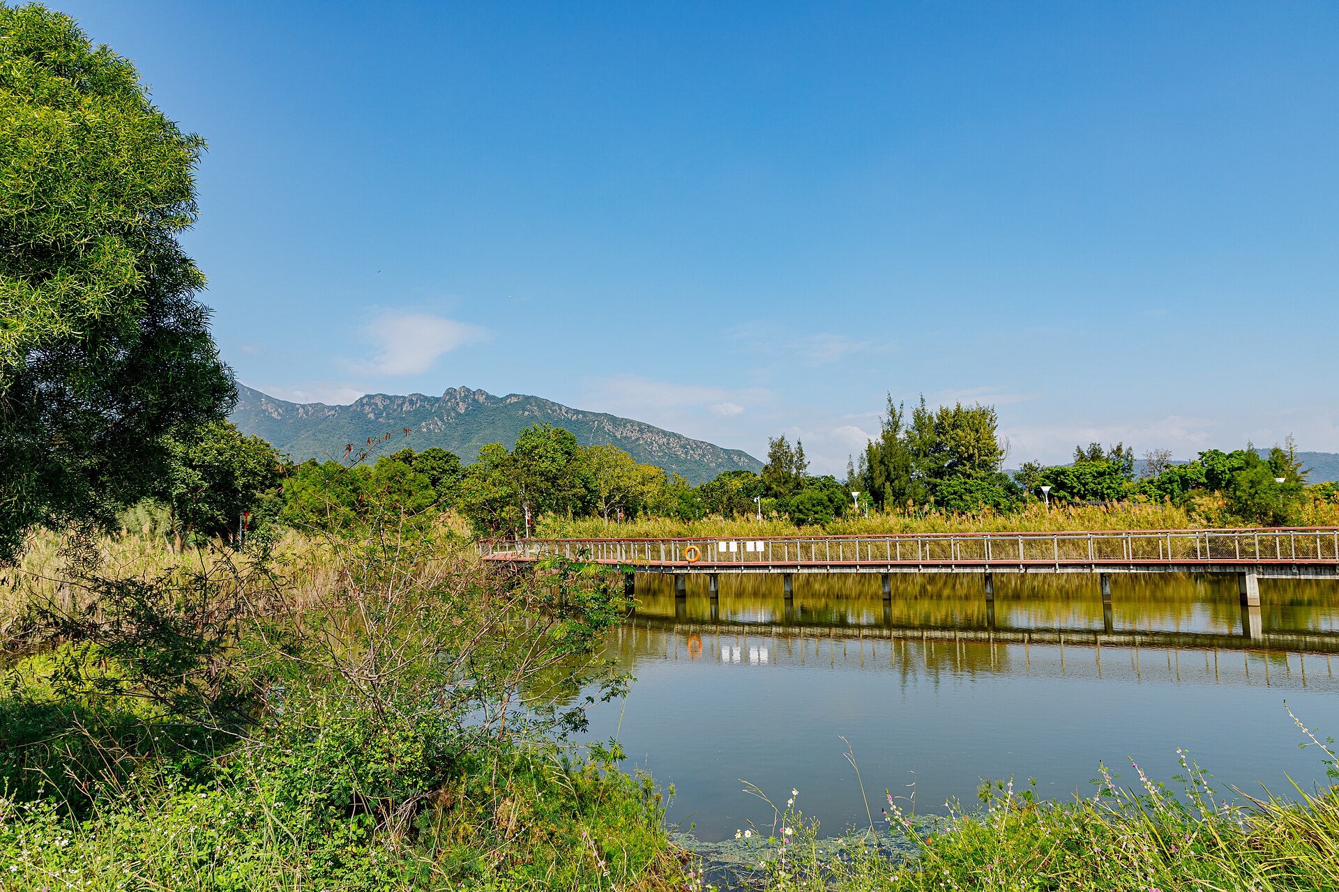 Baguang Silver Leaf Wetland Park