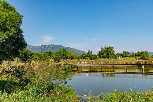 Baguang Silver Leaf Wetland Park