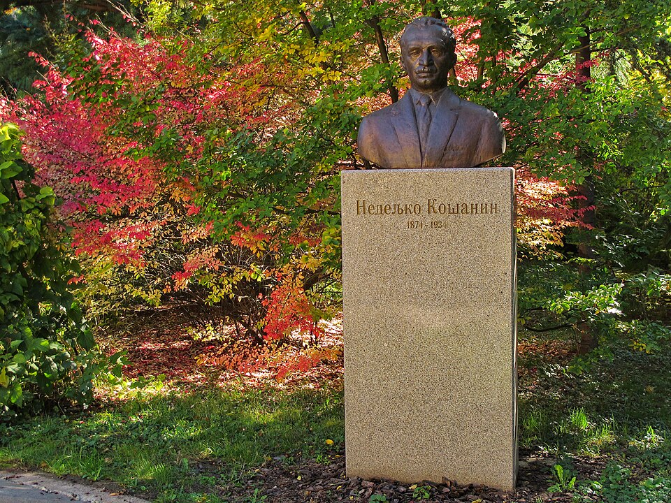 A photograph of Bista Nedeljka Košanina