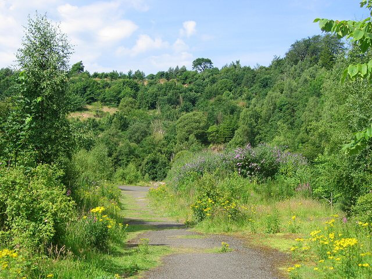 Roslin Glen Country Park の写真