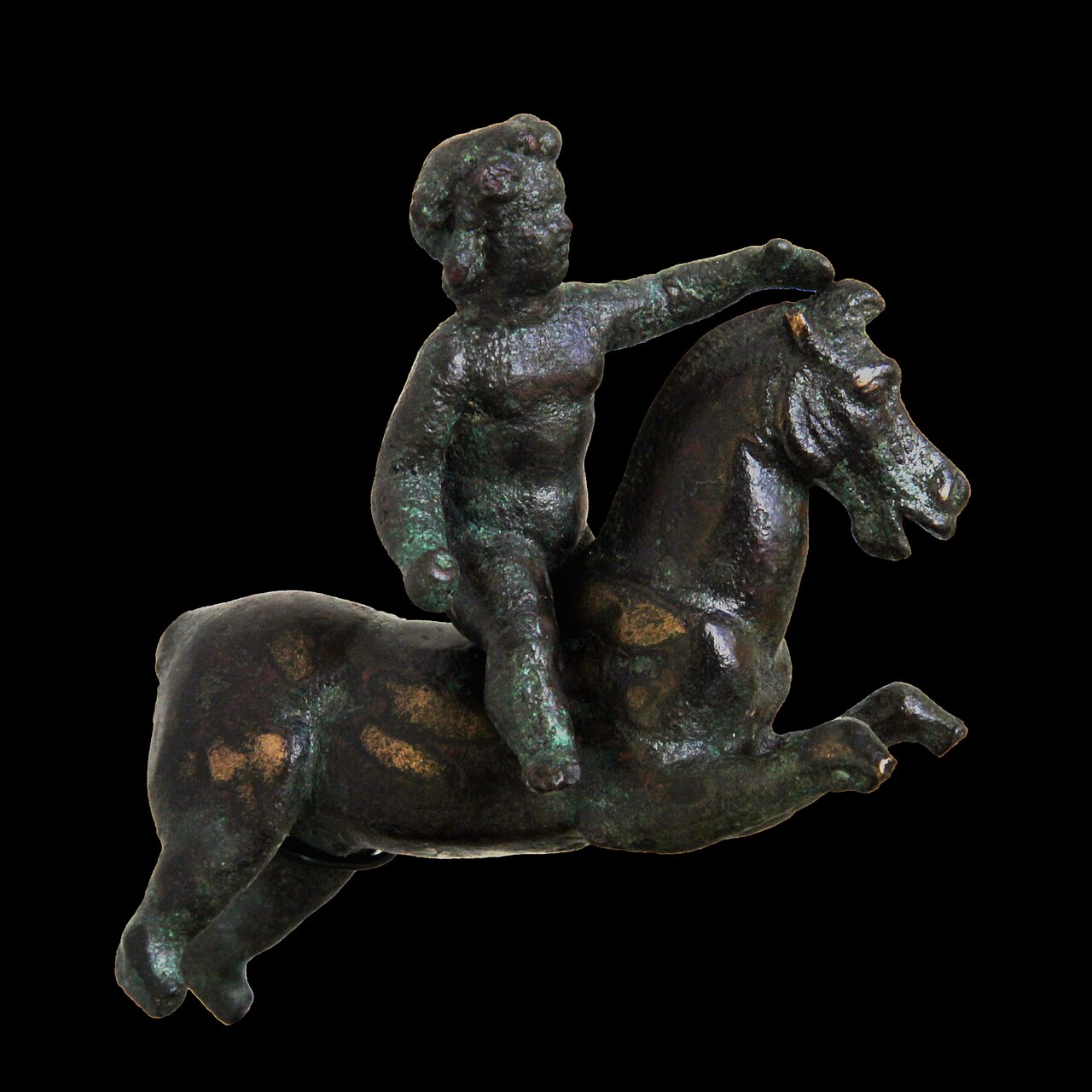 A photograph of Arabian Horse Museum