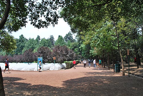Viveros de Coyoacán