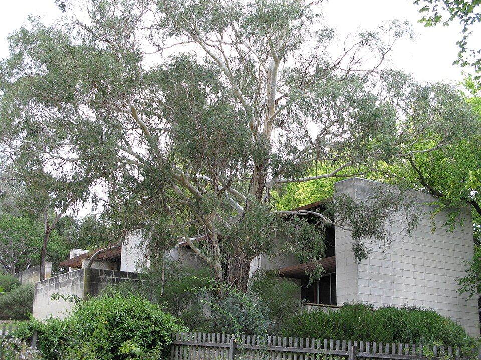 A photograph of Heide Museum of Modern Art